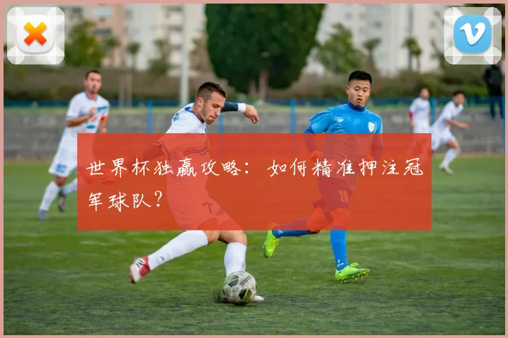 世界杯独赢攻略：如何精准押注冠军球队？