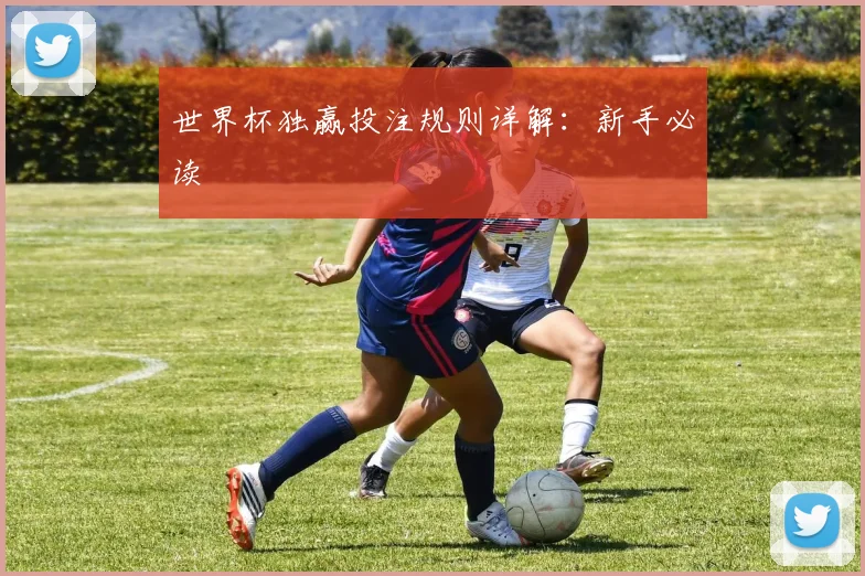 世界杯独赢投注规则详解：新手必读