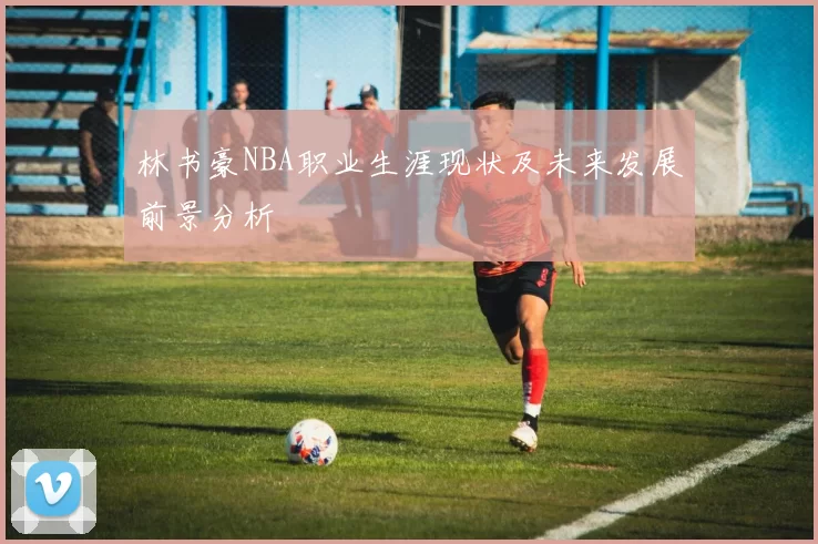 林书豪NBA职业生涯现状及未来发展前景分析