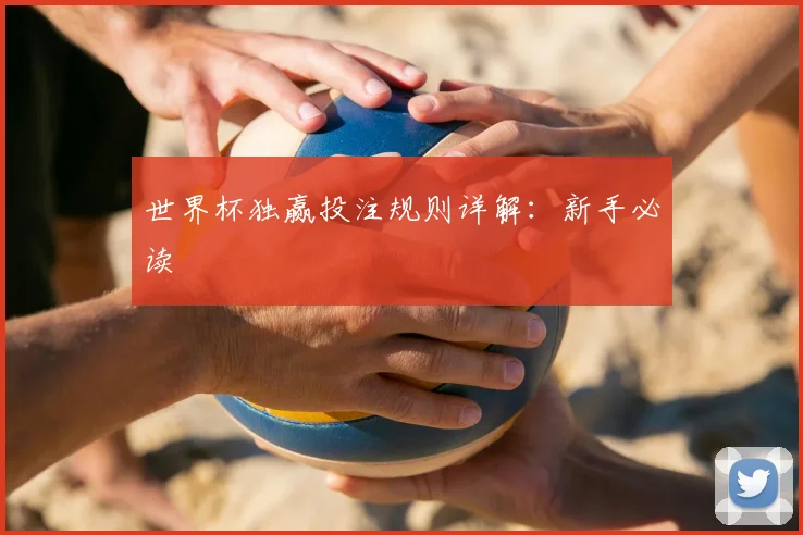 世界杯独赢投注规则详解:新手必读