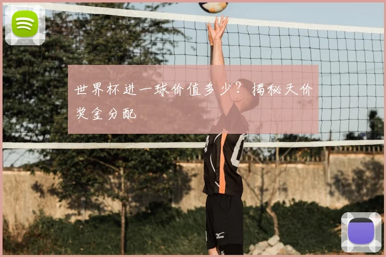 世界杯进一球价值多少?揭秘天价奖金分配