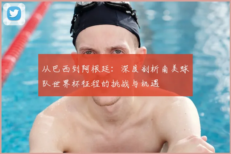 从巴西到阿根廷：深度剖析南美球队世界杯征程的挑战与机遇