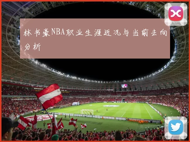 林书豪NBA职业生涯近况与当前去向分析