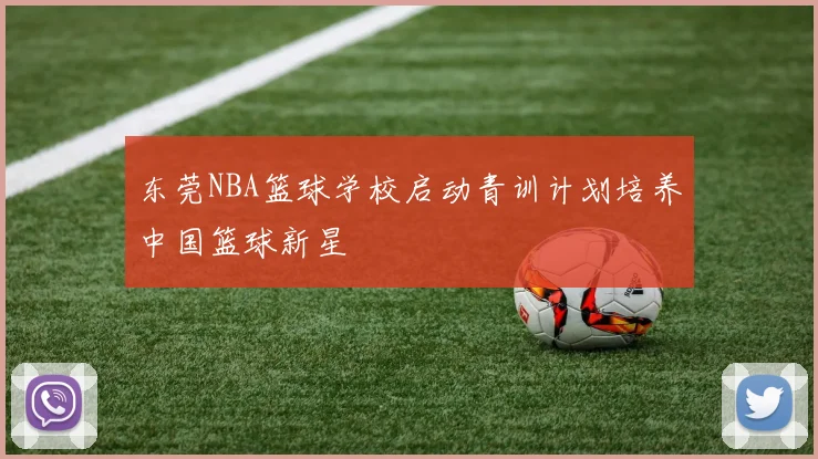 东莞NBA篮球学校启动青训计划培养中国篮球新星