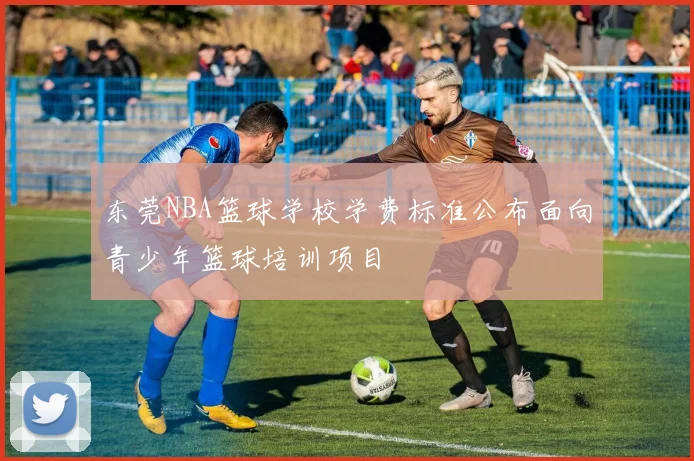 东莞NBA篮球学校学费标准公布面向青少年篮球培训项目